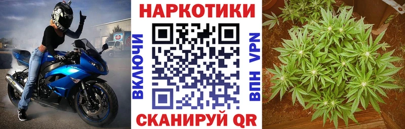 ГАШ Бологое