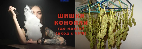 трава Елизово