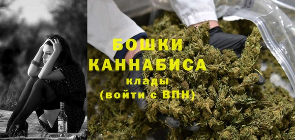 трава Елизово