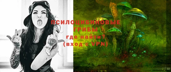 прущая мука Елабуга