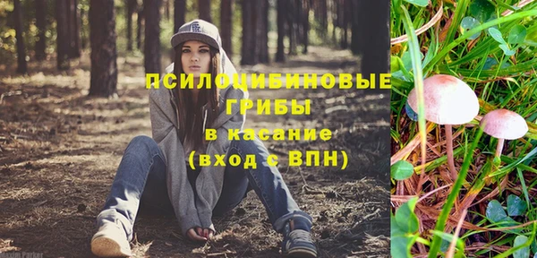 трава Елизово