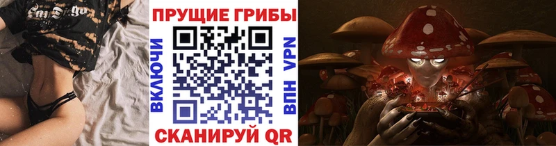 Купить  Бологое  Галлюциногенные грибы ЛСД 